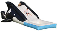 Killer Whale Water Slide from Oliver Entertainment and Caterting serving Northern Virginia, Washington DC and Maryland