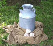  Try the Milk Can Toss or another fundraising game from Oliver Entertainment and Caterting serving Northern Virginia, Washington DC and Maryland 